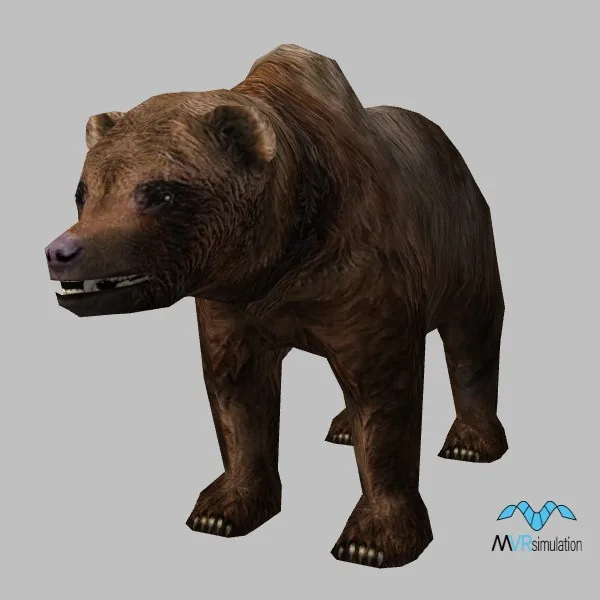 animal-bear-001 — 3D model preview