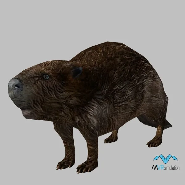 animal-beaver-001 — 3D model preview
