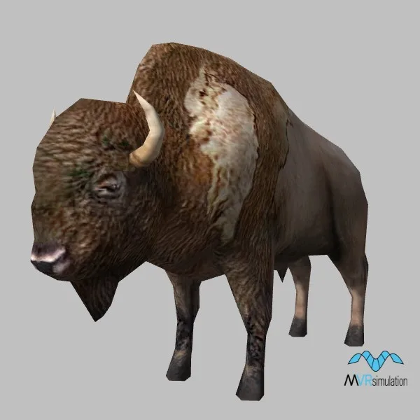 animal-bison-001 — 3D model preview