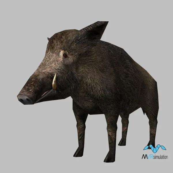 animal-boar-001 — 3D model preview