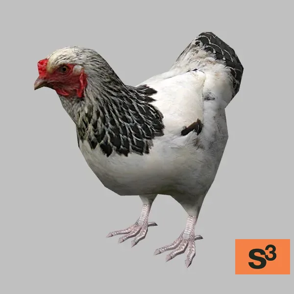 animal-chicken-001 — 3D model preview