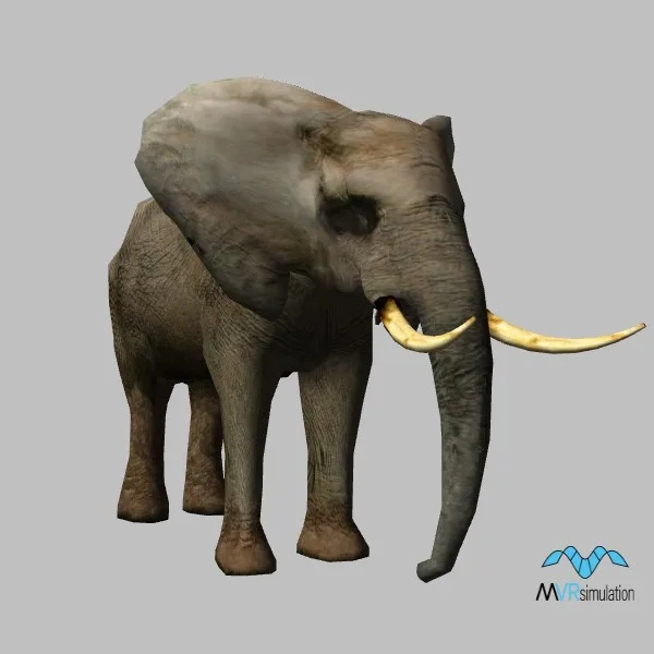 animal-elephant-001 — 3D model preview