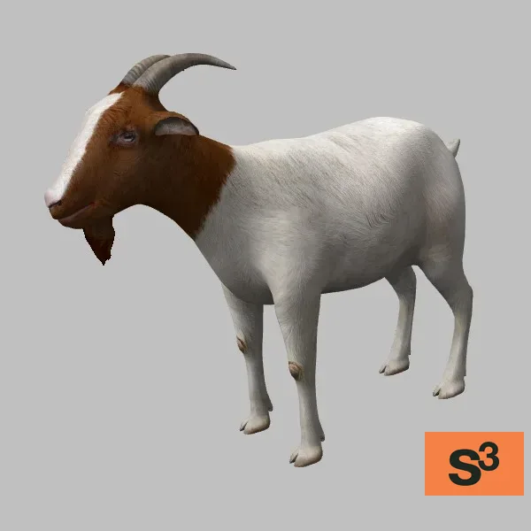 animal-goat-001 — 3D model preview
