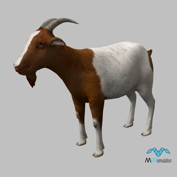 animal-goat-002 — 3D model preview