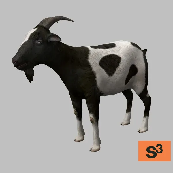 animal-goat-003 — 3D model preview