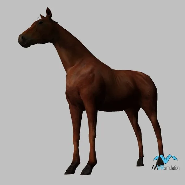 animal-horse-001 — 3D model preview