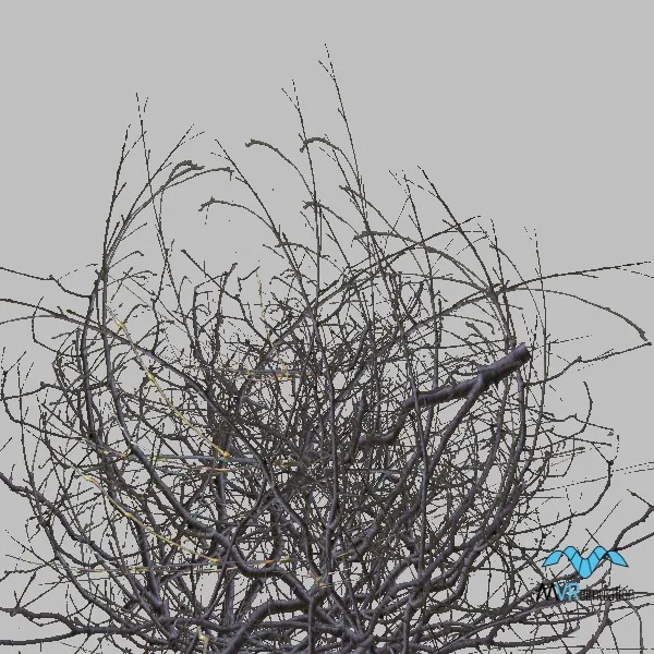 bush-001 — 3D model preview