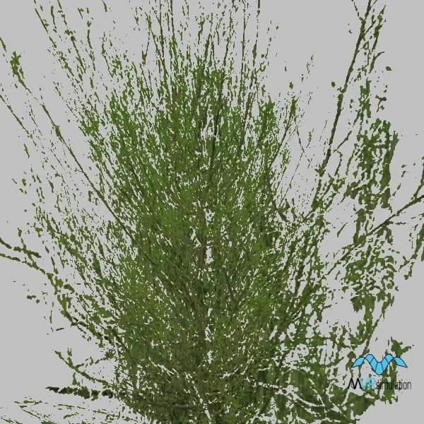 bush-002 — 3D model preview