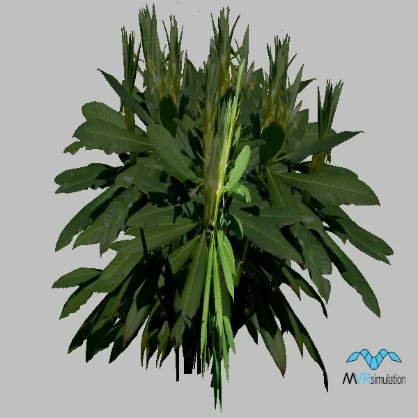 bush-004 — 3D model preview