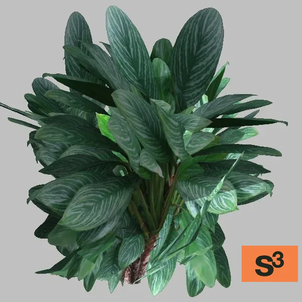 bush-012 — 3D model preview