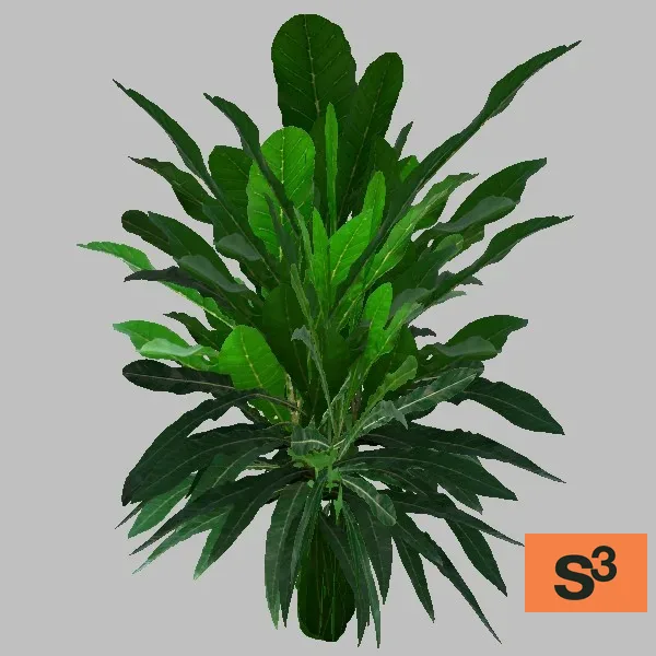 bush-014 — 3D model preview