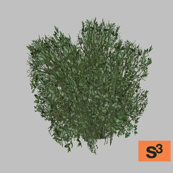 bush-017 — 3D model preview