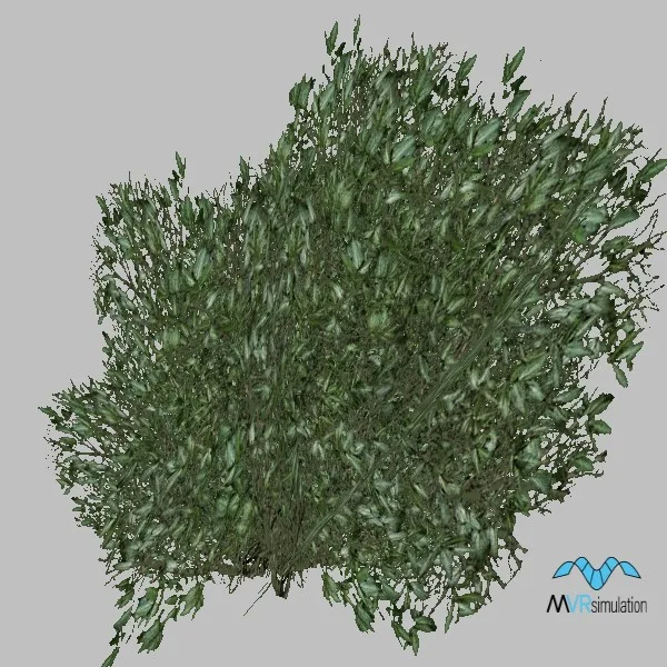 bush-019 — 3D model preview