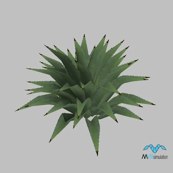 cactus-agave-001 — 3D model preview