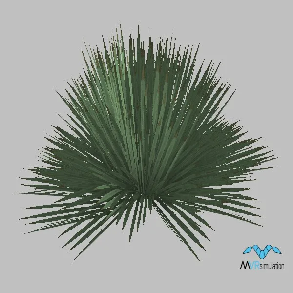 cactus-desert-spoon-001 — 3D model preview