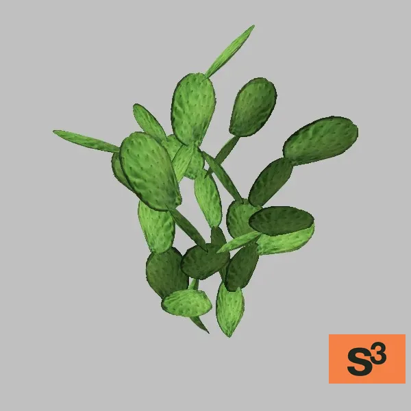 cactus-prickly-pear-001 — 3D model preview