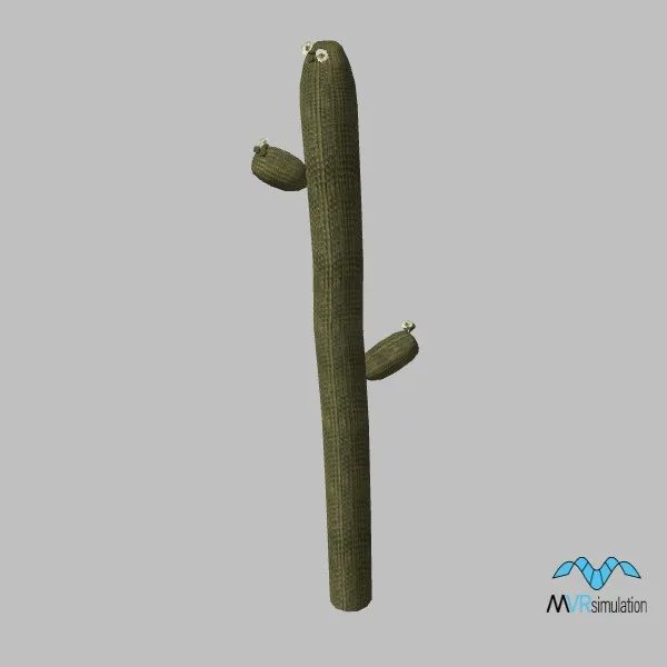cactus-saguaro-001 — 3D model preview