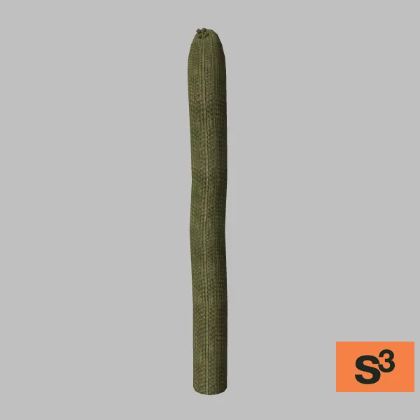 cactus-saguaro-002 — 3D model preview