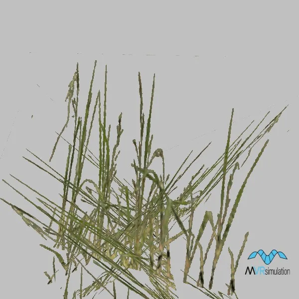 Grass-001 — 3D model preview