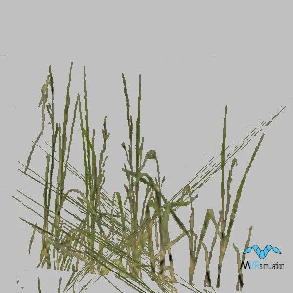 Grass-002 — 3D model preview