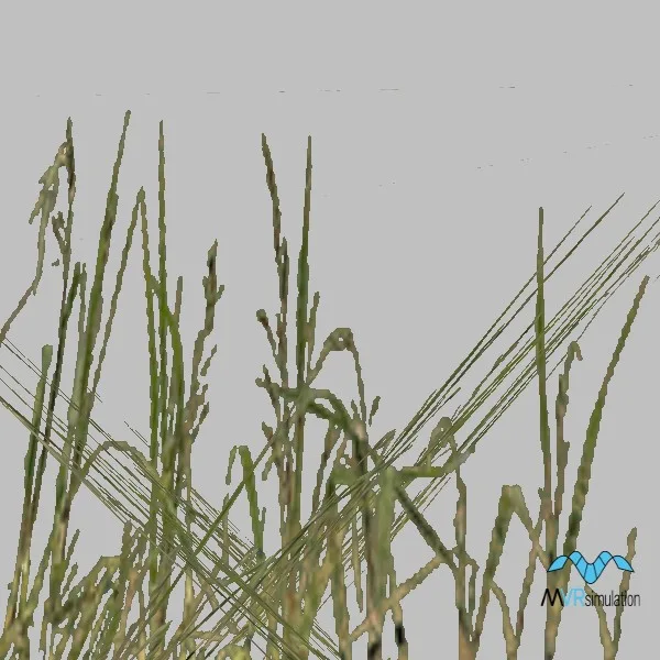 Grass-003 — 3D model preview
