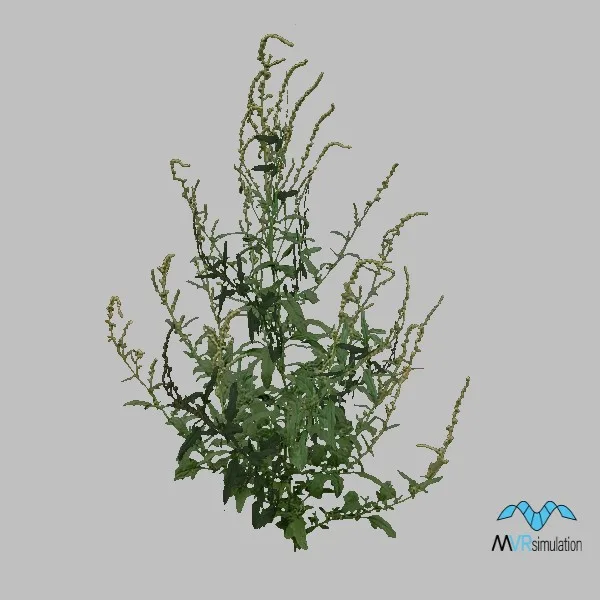 Grass-005 — 3D model preview