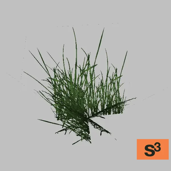 Grass-006 — 3D model preview