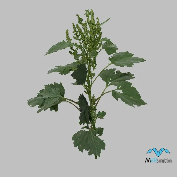 Grass-009 — 3D model preview