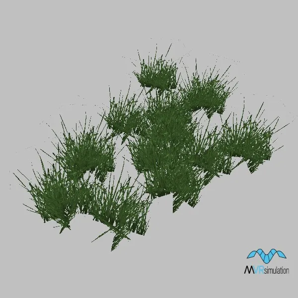 Grass-010 — 3D model preview