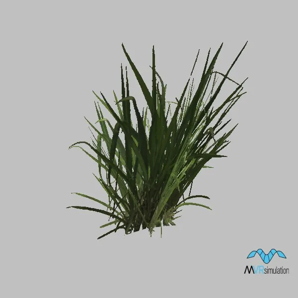 Grass-011 — 3D model preview