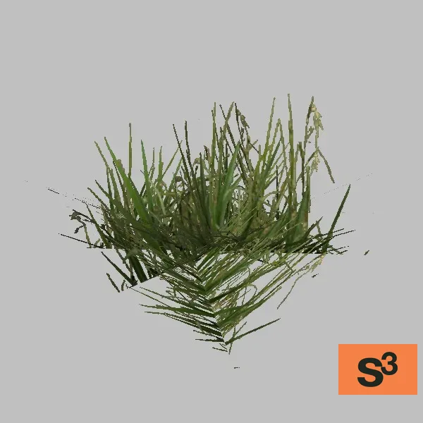 Grass-012 — 3D model preview