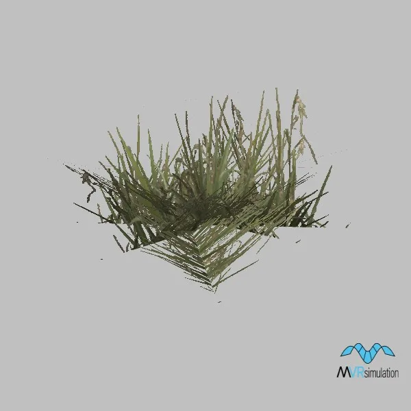 Grass-014 — 3D model preview