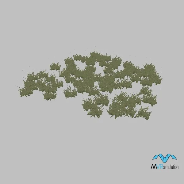 Grass-015 — 3D model preview