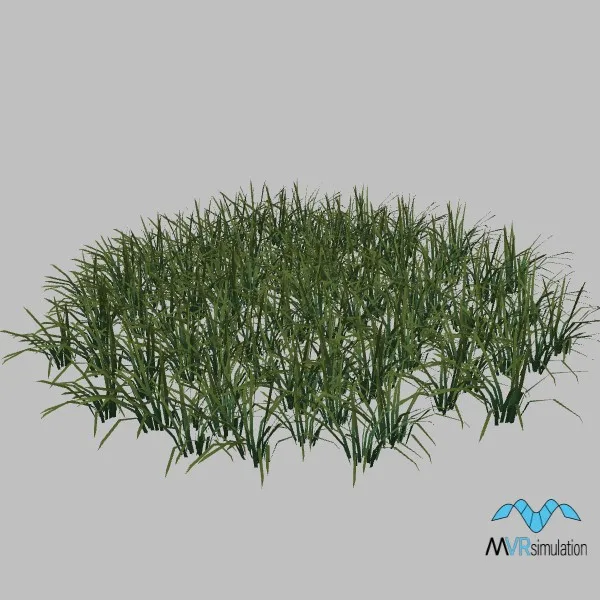 Grass-016 — 3D model preview