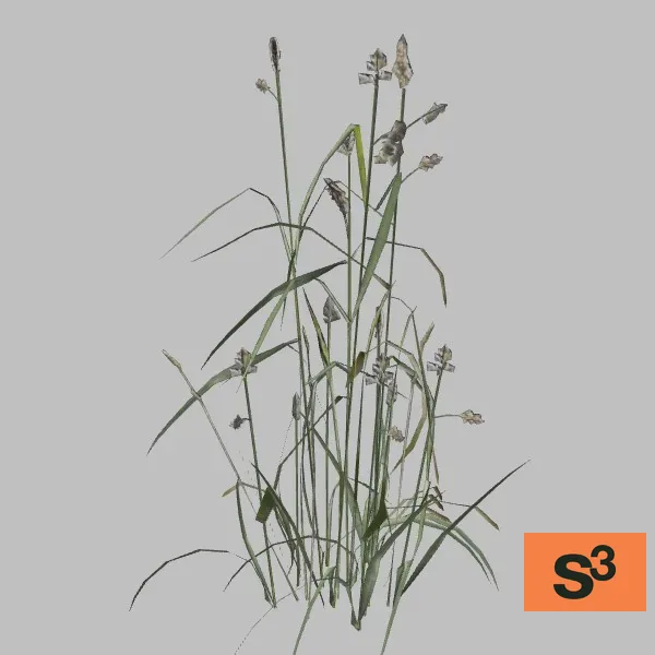 Grass-018 — 3D model preview