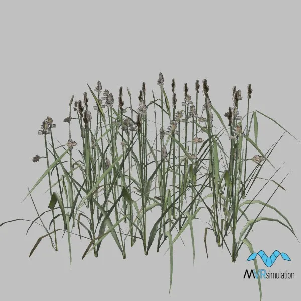 Grass-019 — 3D model preview