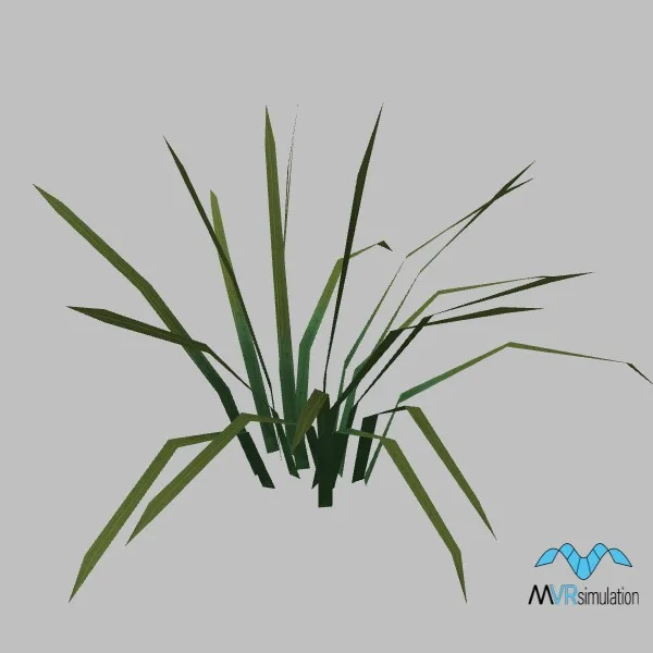 Grass-022 — 3D model preview