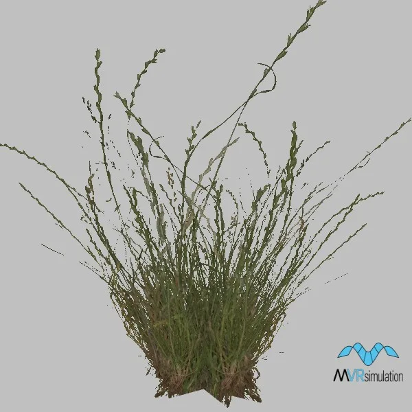 Grass-024 — 3D model preview