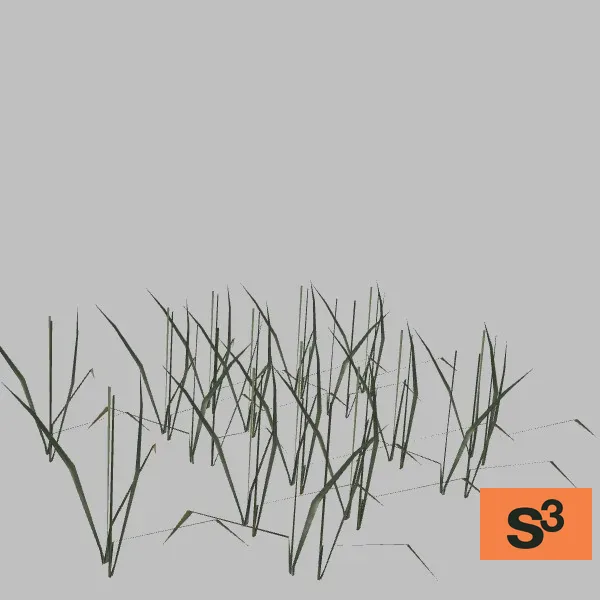 Grass-028 — 3D model preview