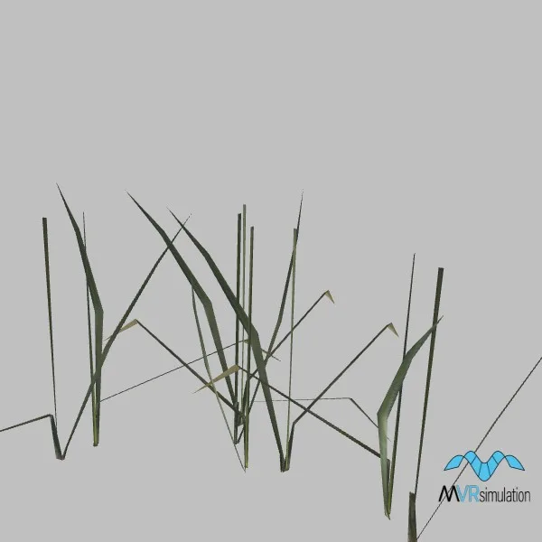 Grass-029 — 3D model preview