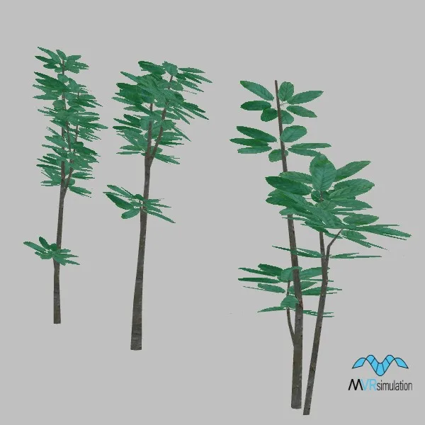 plant-002 — 3D model preview