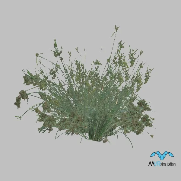 plant-004 — 3D model preview