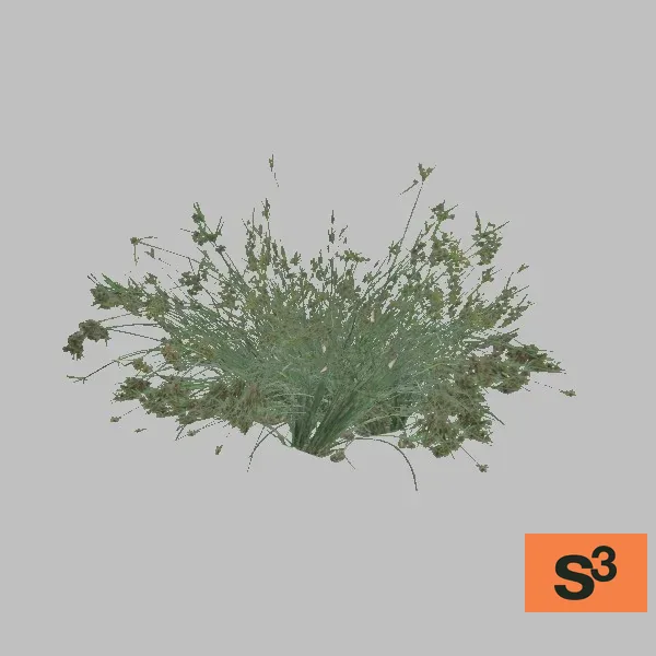 plant-004-small — 3D model preview