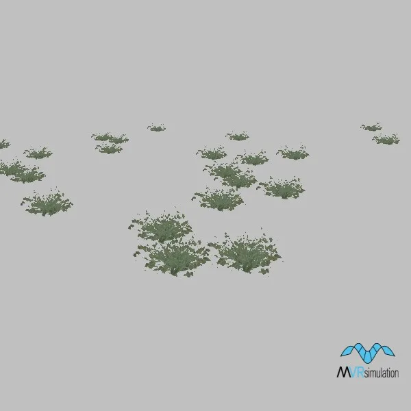 plant-004-small-group — 3D model preview