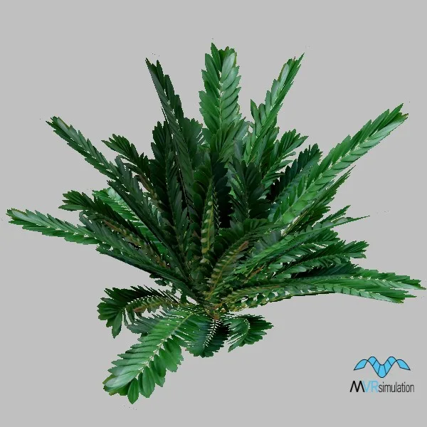 plant-005 — 3D model preview