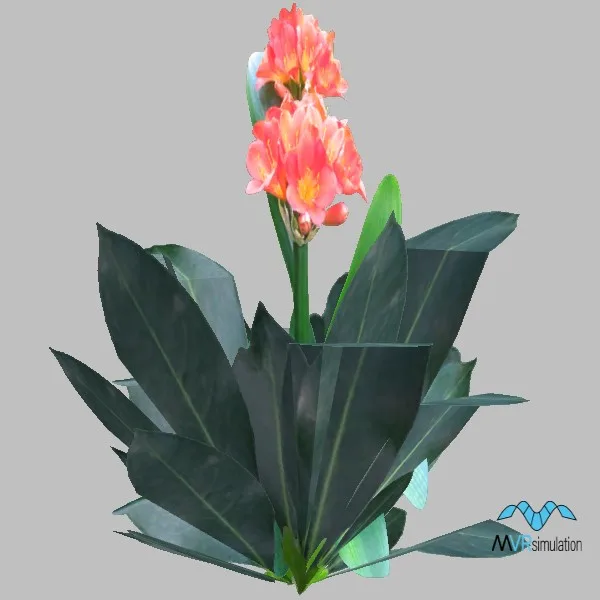 plant-007 — 3D model preview