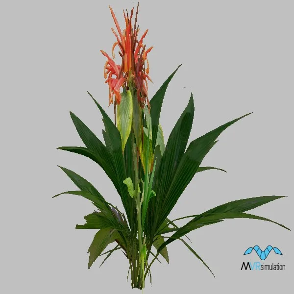 plant-008 — 3D model preview