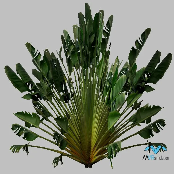 plant-010 — 3D model preview