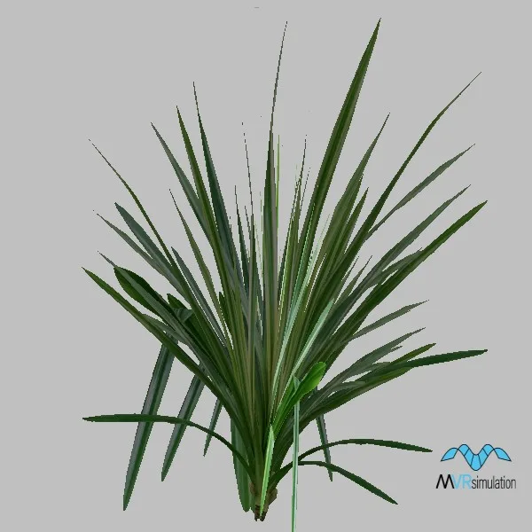 plant-012 — 3D model preview