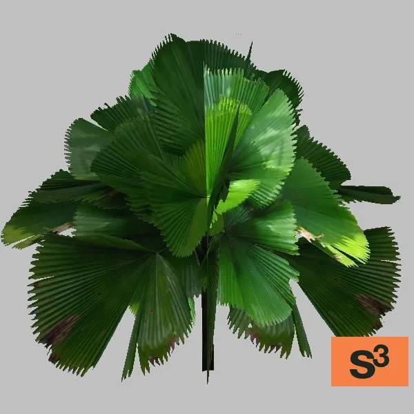 plant-013 — 3D model preview